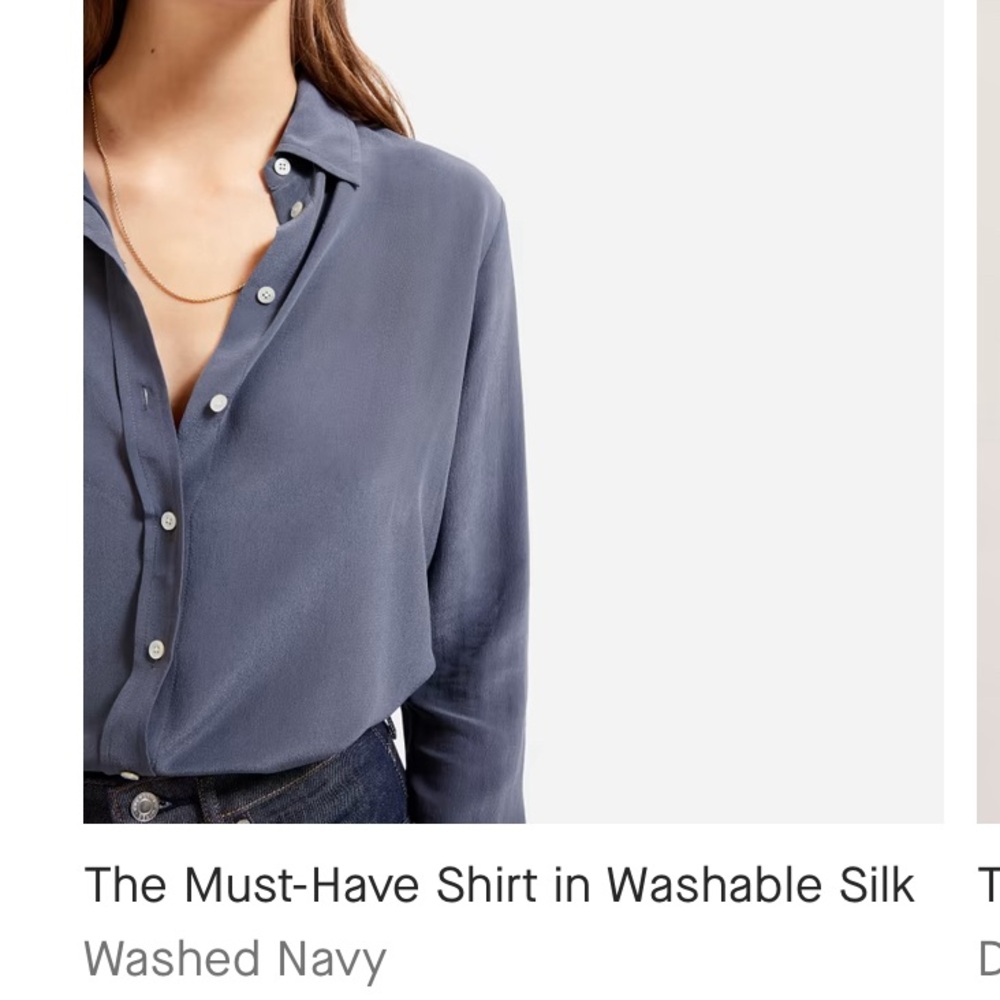 Everlane must have shirt in washable silk size 6
